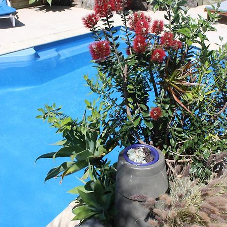 Snells Beach Motel Екстериор снимка