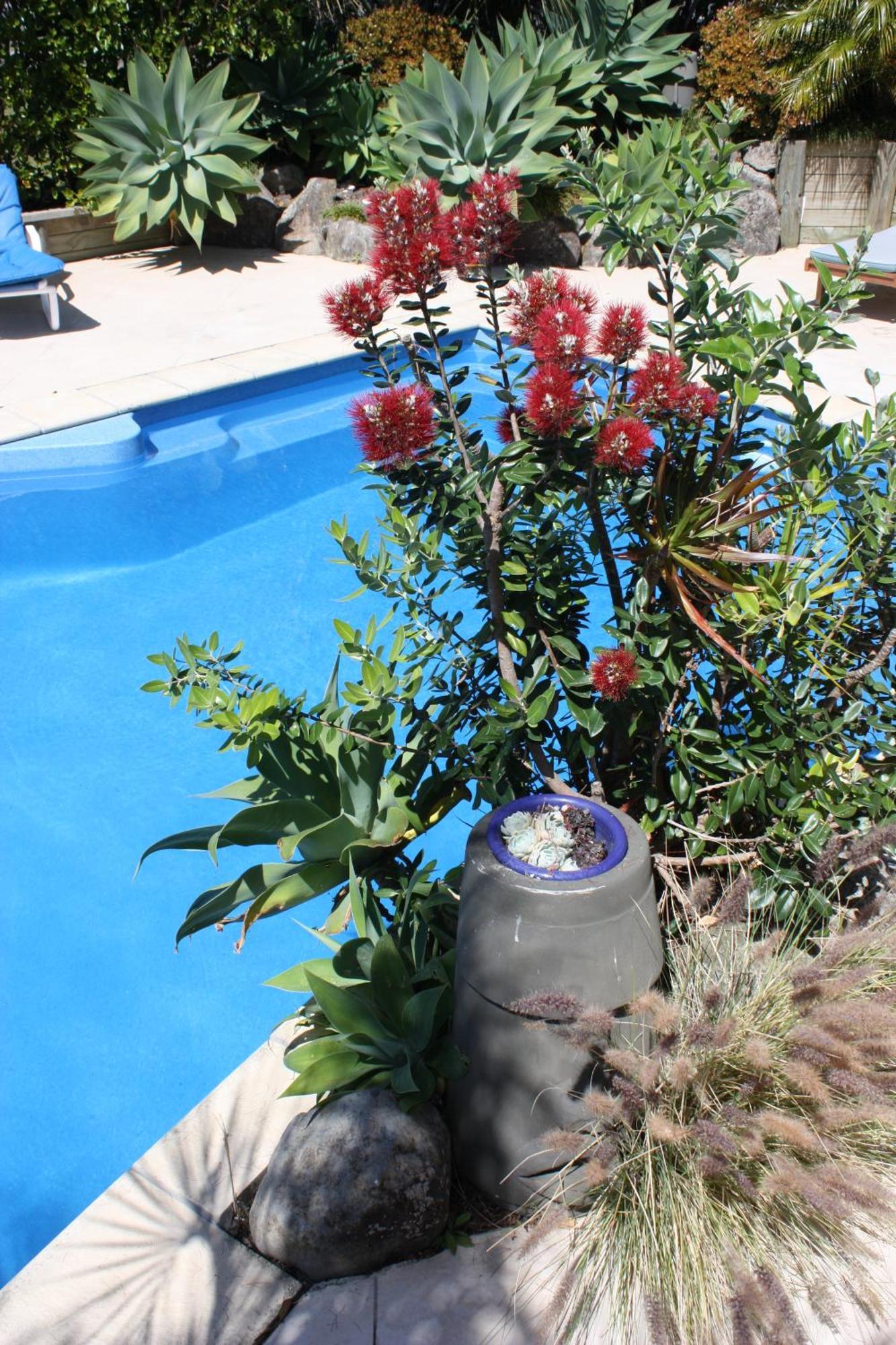 Snells Beach Motel Екстериор снимка